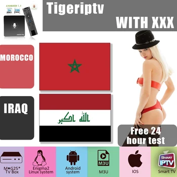 

World IPTV Morocco iptv tv program Adult IPTV android tv box IRAQ android 8.1 box tv M3U IPTV no APP included