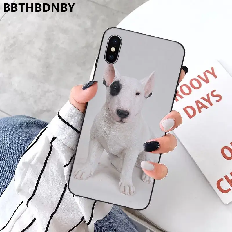 Bull Terrier Dog