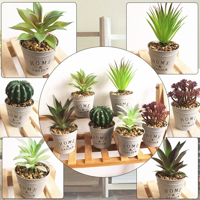 

Mini Artificial Succulents Fake Cactus Potted Plant Easy Grow Simulation Potted Plant Artificial Flowers For Home Garden