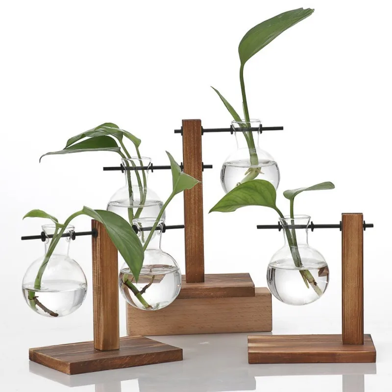 Гидропонная фотография Terrarium винтажный цветочный горшок прозрачная ваза