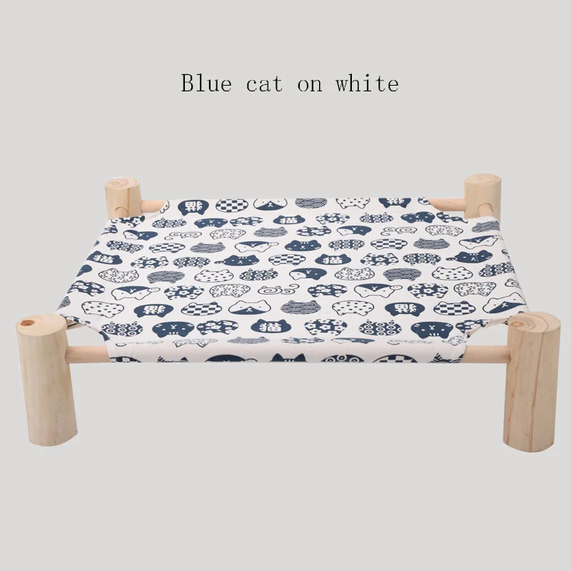 Blue cat on white