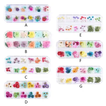 

12 Grid Crystal Filler Dry Flower Handmade Flowers Craft Silicone Molds UV Epoxy Resin Filling Material Decoration Accessories