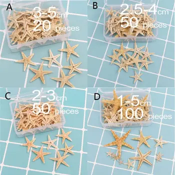 

1 Box Natural Starfish Seashell Beach Craft Natural Sea Stars DIY Beach Decor