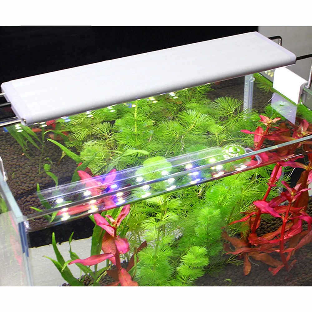 

LED Aquarium Light Stand LED Aquarium Light Stand Aquarium Lighting LED Water Grass 3W 5W 7W Light Aquarium