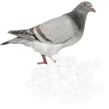 

50Pcs Hen Poultry Simulation Artificial Faux Fake Plastic Eggs for Chicken Duck Geese Incubation Breeding