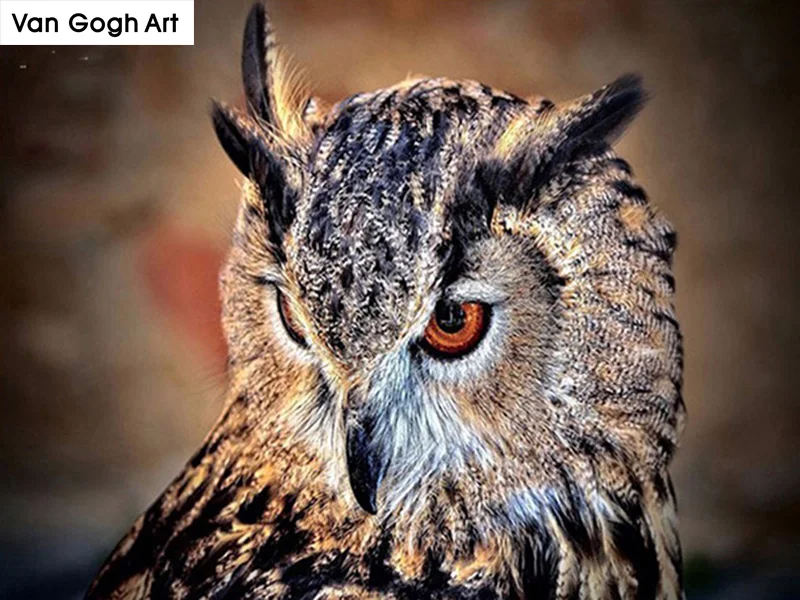 

5D DIY Diamond Embroidery A pair of owls Cross Stitch Mosaic diamond painting Animal Pattern Full Round Rhinestone Home decor