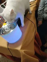 Drink-Bowl Dispenser Active Water-Fountain Cats Automatic CARBON-FILTER Dog Electric