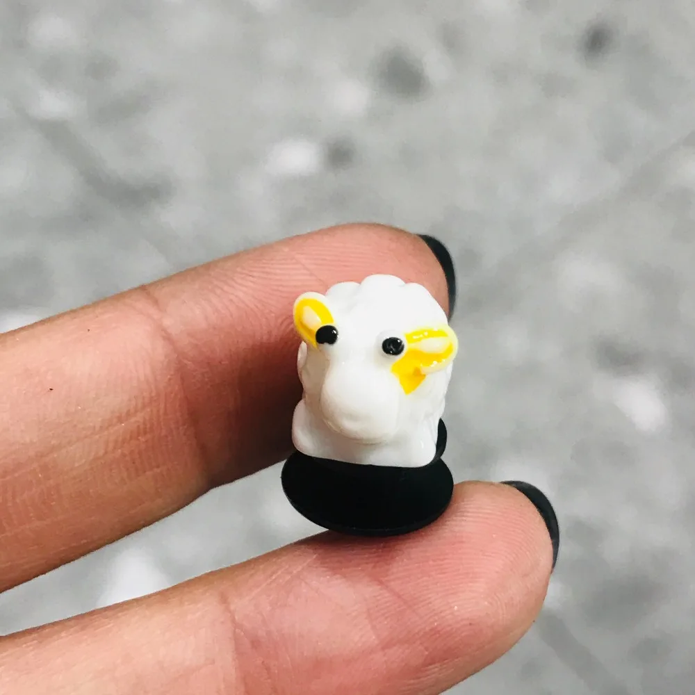 IMG_2842(20201113-174228)