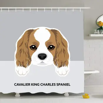 

Shower Curtain Set with Hooks 66x72 Cavalier Design Dog Breed Head King Spaniel Charles Cheerful Animals Wildlife Drawing Fur