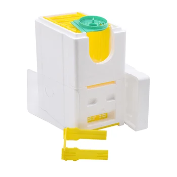 

Honey Beehive Frames Beekeeping Box Bee Hive King Pollination Box Bee Mating Copulation Box For Farm Beekeeping Equipment Hot