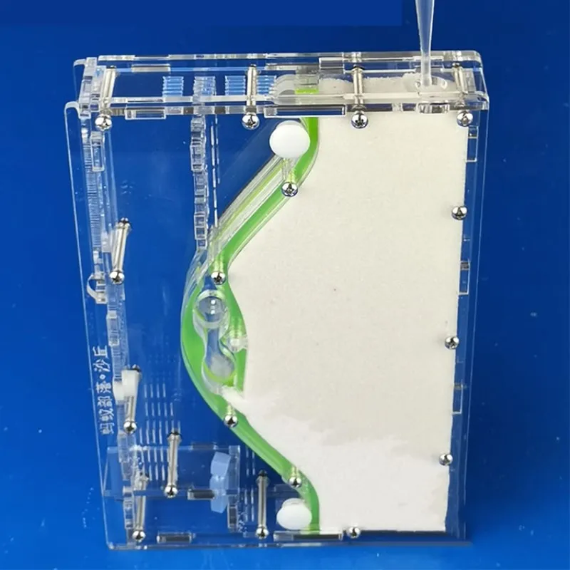 Акриловый муравей Дюна гнездо гипса чистый муравей активности дом формикариум с песком, трубка, пинцет, губка муравьев фермы