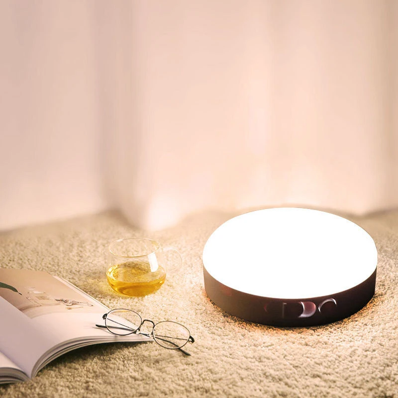 

LED Human Body Induction Night Light Corridor Aisle Lights Indoor Cabinet Lights With Motion Sensor Light Control Induction