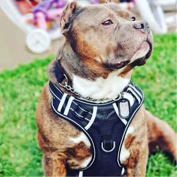 

Dog Soft Adjustable Harness Pet Large Dog Walk Out Harness Vest for Medium Dog Chest Strap Dog Harness Pets Accessories