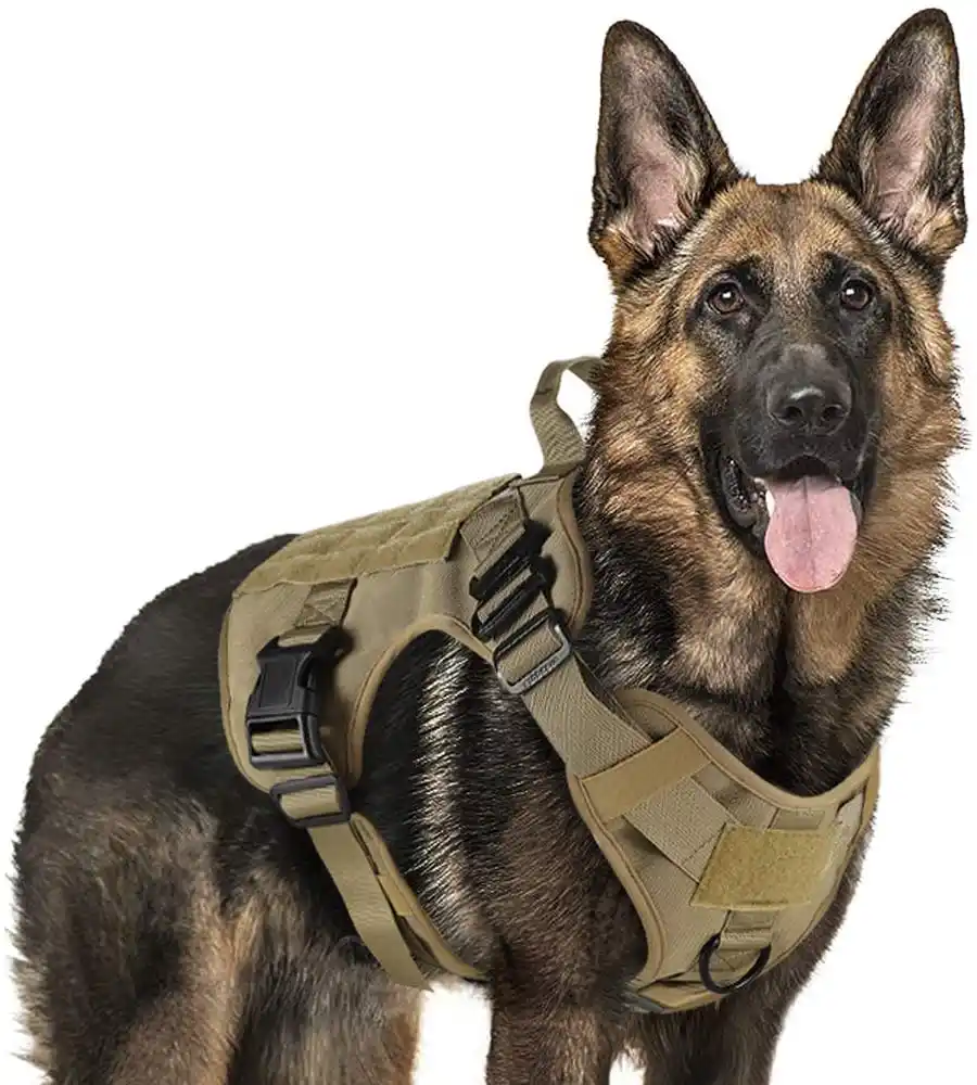 k9 military harness