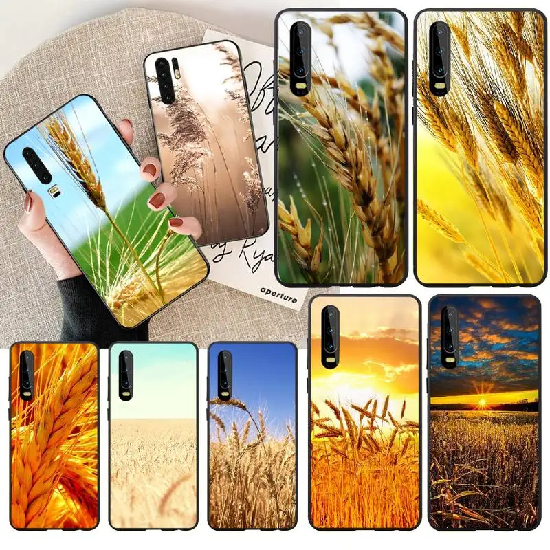 NBDRUICAI Raw material for bread wheat Black Soft Shell Phone Case Capa Huawei Honor 20 10 9 8 8x 8c 9x 7c 7a Lite view | Мобильные