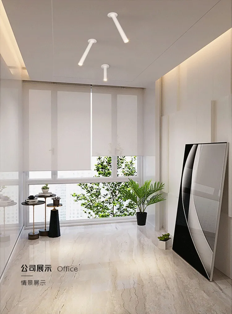 明装嵌入式LED射灯简约创意北欧客厅玄关服装店吸顶式长筒射灯-tmall_19