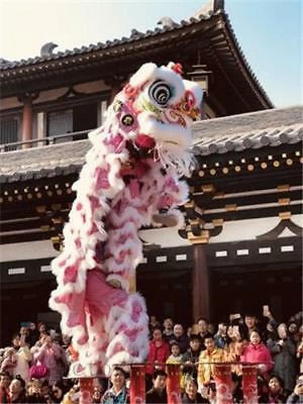 Костюм Льва талисмана, шерстяной костюм китайского народного искусства Hoksa Southern Lion 2, костюм для взрослых, рекламная акция, карнавал, Хэллоуин