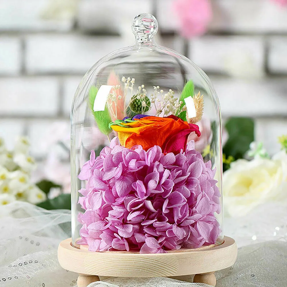 New Glass Display Cloche Bell Jar Dome With Wooden Base For DIY Gift Decoration 