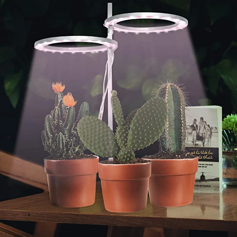 The Plant Halo Light stickhealthcare.co.uk