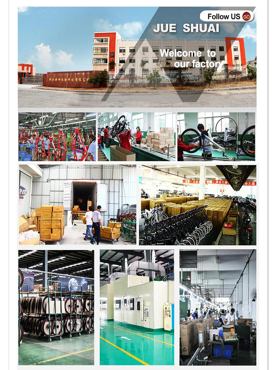Top 36V 48V LCD Electric Bike Display for Electric Bike bldc Controller Control Panel for Electric Bicycle e Bike Kit ebike Parts 11