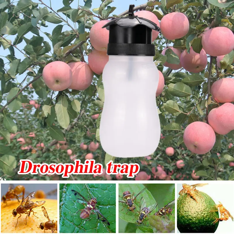 

Durable Fly Trap Garden Plastic Convenient Wasp Insect Trap Economic Pest Flies White Fly Catcher Hanging Outdoor