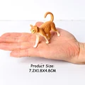 Yellow cat A