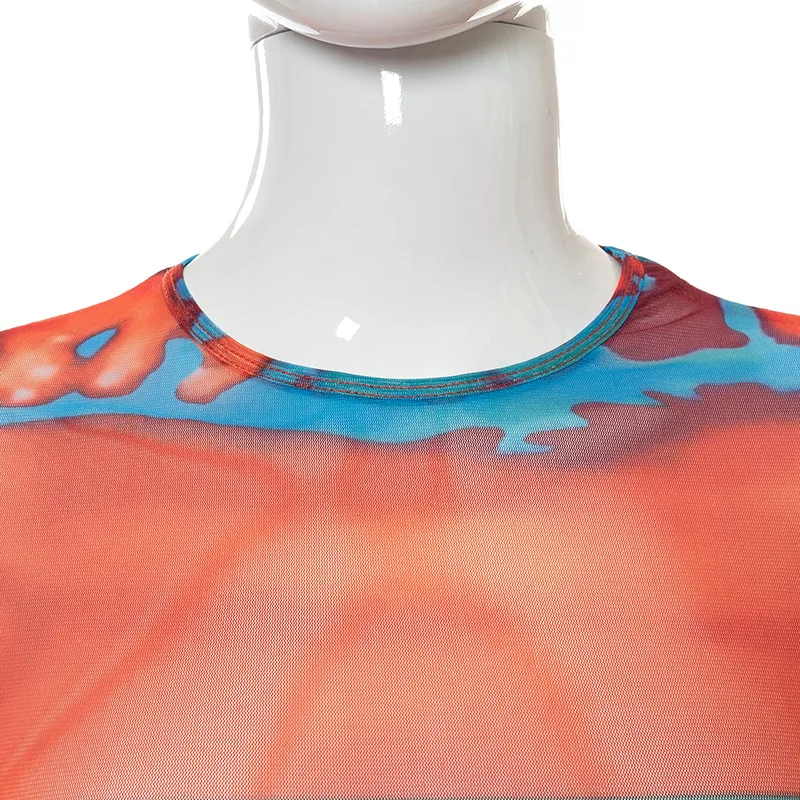 Y2K Mesh Top Women Streetwear Long Sleeve Graphic Tee See Through O Neck Tops Slim Anime T-shirt Sexy Crop Top Women Clothing Y2K Mesh Top Women Streetwear Long Sleeve Graphic Tee See Through O Neck Tops Slim Anime T-shirt Sexy Crop Top Women Clothing