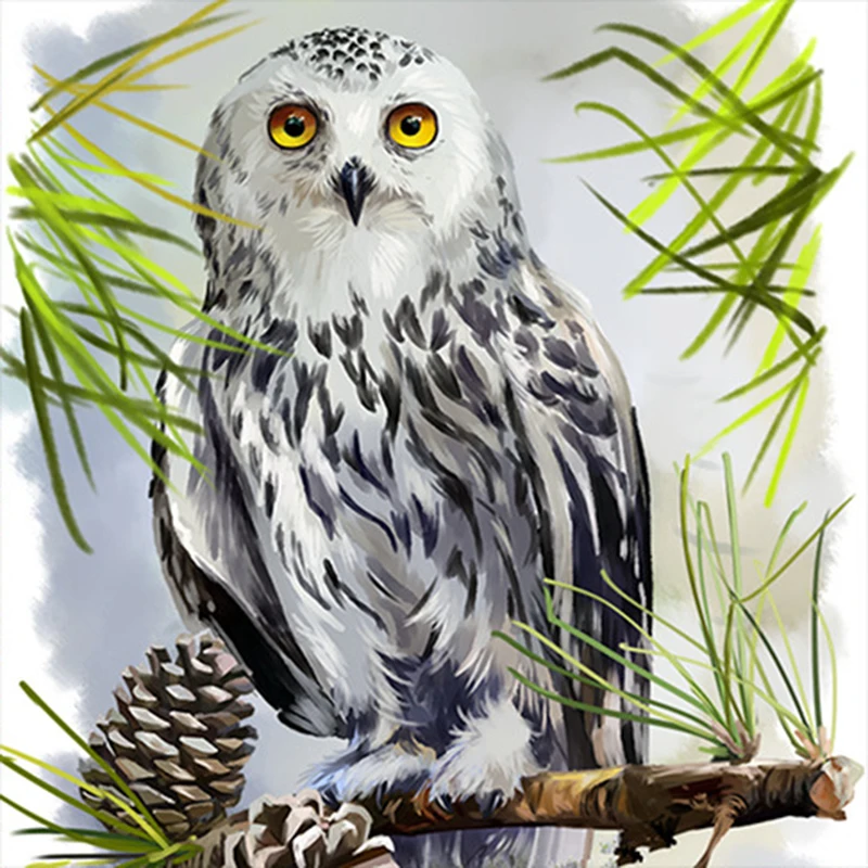 HUACAN Diamond Embroidery Full Set Owl 5d Diamond Painting Rhinestone Picture Animal Diamond Mosaic Home Decorations