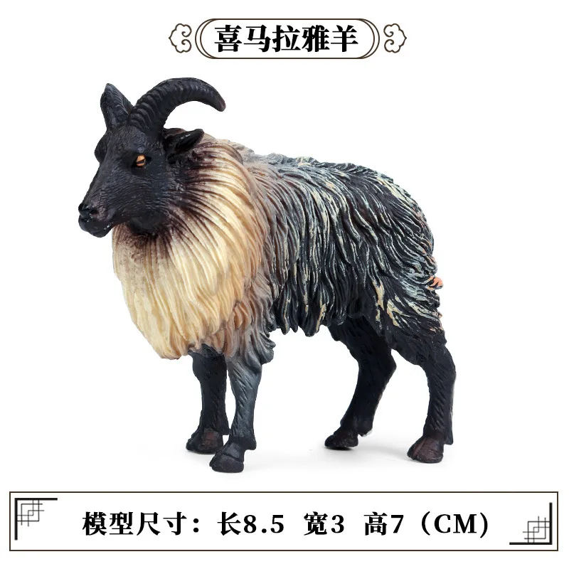 10777480396_1464955482