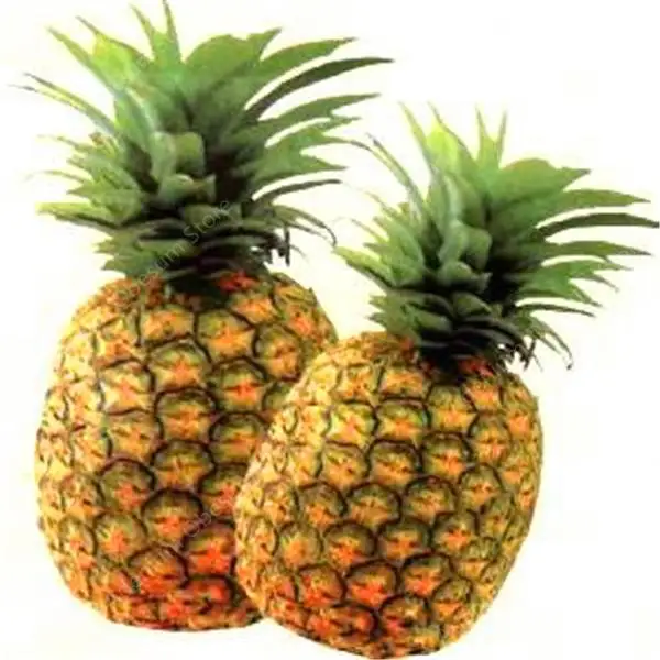 100 шт Ananas Comosus ананас бонсай Heirloom фруктовый сад бонсай сладкие сочные вкусные фруктовые горшечные растения DIY бонсай завод