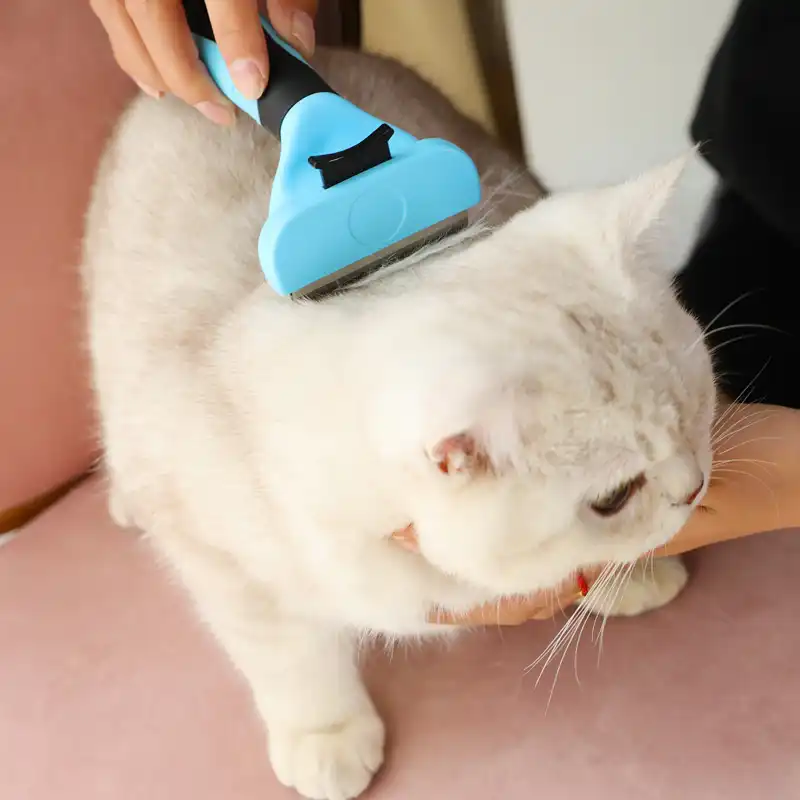 professional cat grooming supplies