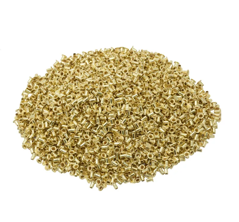 12100 pcs Bee Hives Installation Thread Hole Copper Plated Material About Beekeeping Tools Copper Eyes Beekeeping supplies