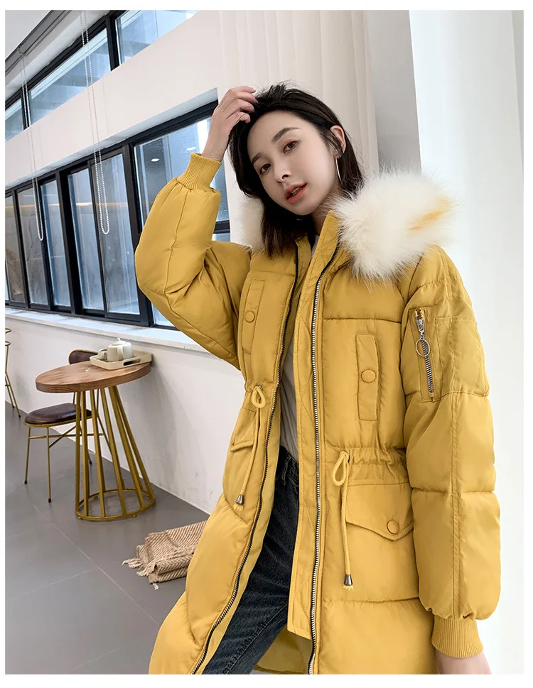 Cotton_15.jpg
