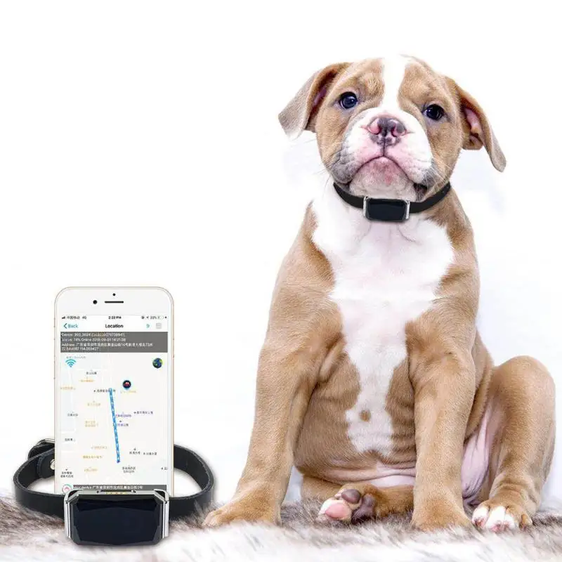 Mini Light Gps Tracker V z ll Kis llat Gall r H zi llatoknak Kuty k 