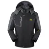 Coats 