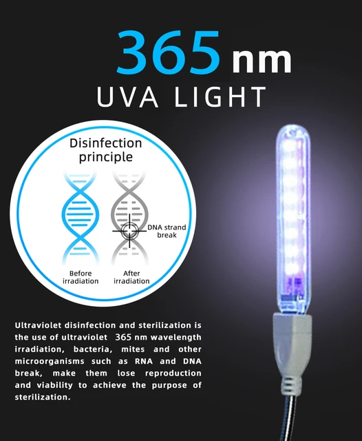 Lampe Ultraviolette Portable Alimentée Par Batterie 6v 2 En 1, Torche  Clignotante, Lumière Noire, Tube Lumineux Uv, Détecteur D'argent Portable -  Uv Gel Durcissement Lumière - AliExpress