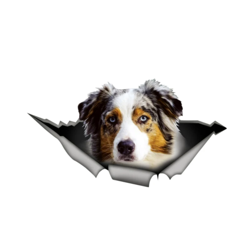 

Creative Australian Shepherd Pet 3D Car Window Decal Accessories Waterproof High Quality Vinyl Cover Scratches PVC 13cm X 7cm