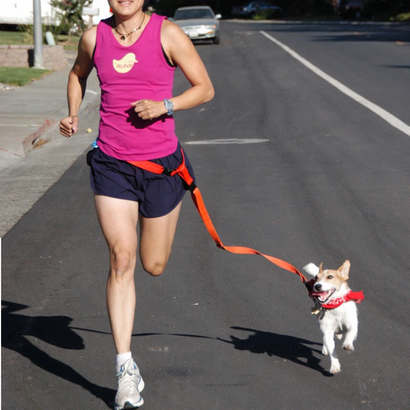 Adjustable Running Dog Leash Nylon Hand Freely Pet Products Dogs Harness Collar Jogging Lead Waist Leashes Traction Belt Rope | Дом и сад
