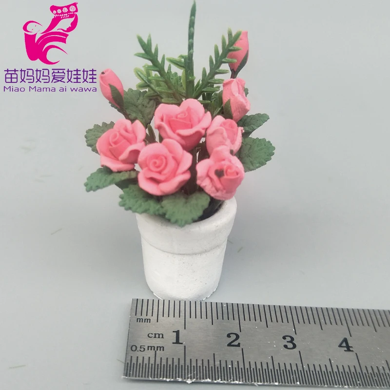 IMG20200228154510 拷贝