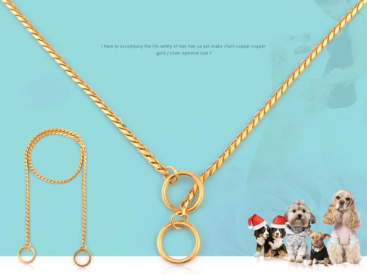 dog collar chihuahua