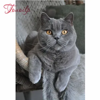 

5D chat peinture diamant mosaïque | Diamant broderie, strass Animal, images, perceuse ronde complète, Kit artisanal fait à la ma