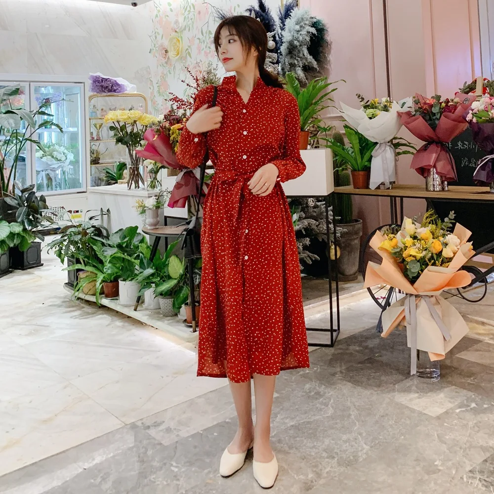 

Photo Shoot 2019 Spring New Style Korean-style WOMEN'S Wear Polka Dot Shirt Dress Retro CHIC-Style Single-Breasted Waist Hugging