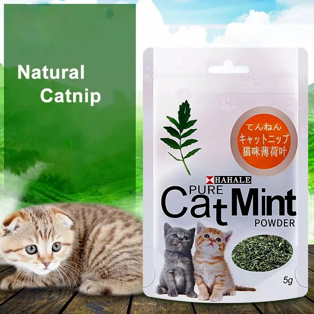 100 Natural Catnip Cat Toys Menthol Flavor Clean Teeth Healthy Care