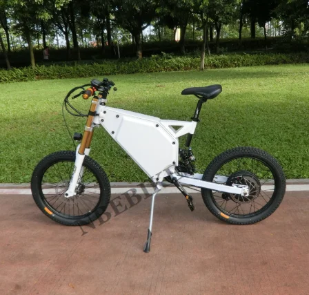 e bike enduro 2020