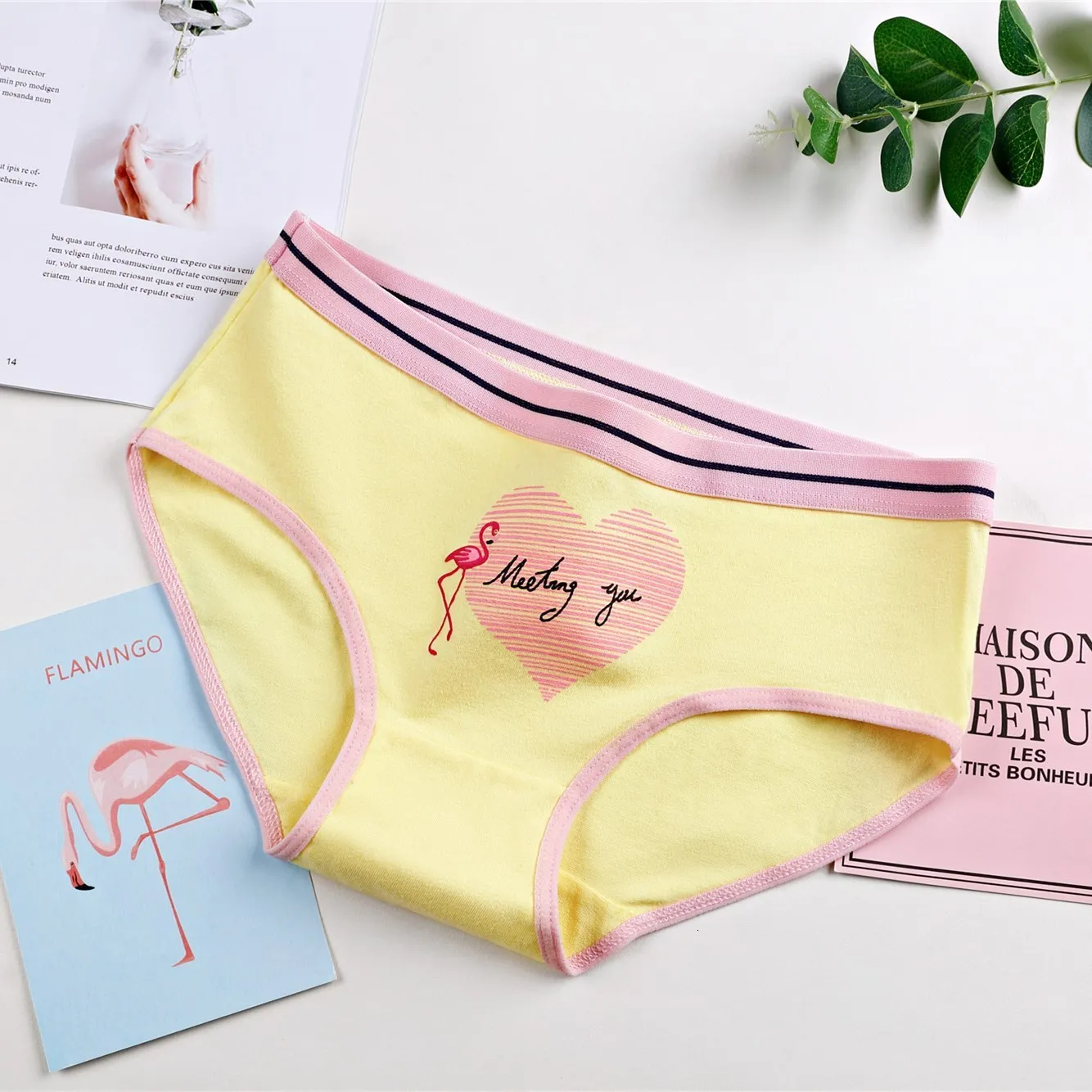 Women's panties cotton gril briefs print underwear sexy lingerie stripes underwear plus size underpants female panty #QWER Women's panties cotton gril briefs print underwear sexy lingerie stripes underwear plus size underpants female panty #QWER