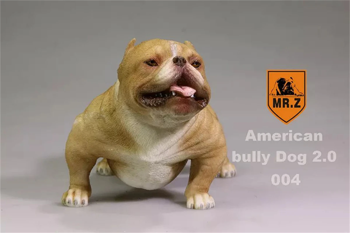 Mr.Z 1/6 American Bully Pitbull Dog Pet Figure Animal Model Decor