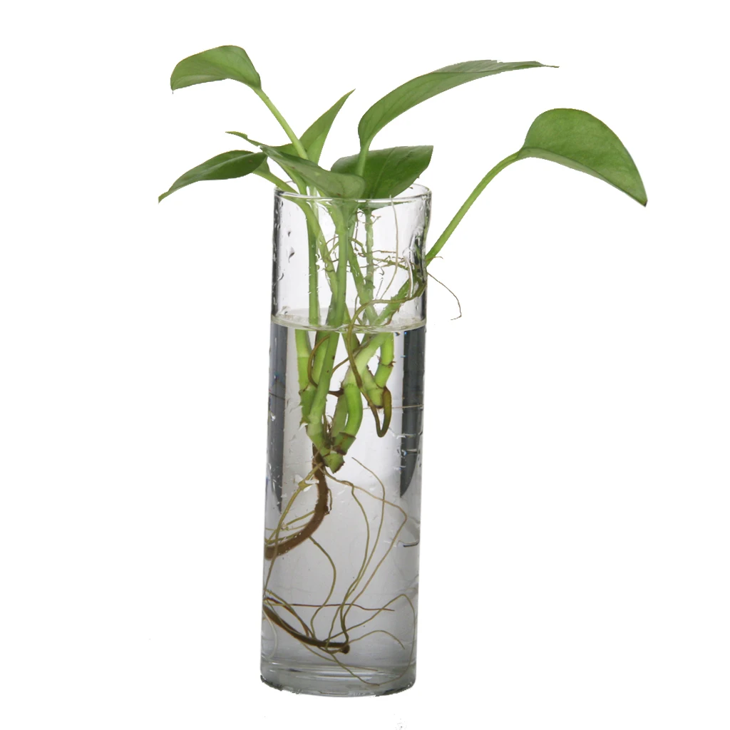 Цилиндрическая прозрачная стеклянная настенная Ваза бутылка для растений цветочные украшения