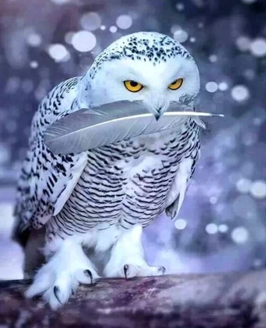Алмазная живопись Witte ul | Дом и сад
