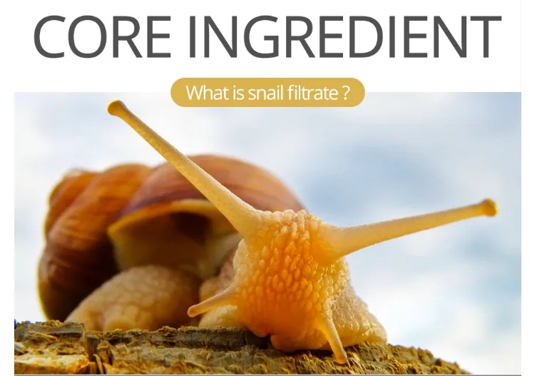 屏幕快照 2019-12-25 上午10.33.44