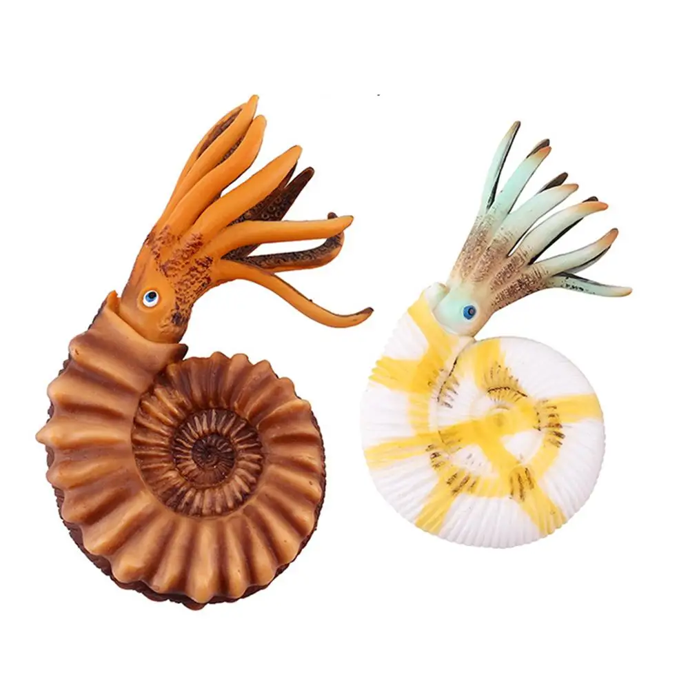 

2Pcs Simulation Nautilus Shell Ocean Animal Figures Kids Educational Toy Gift